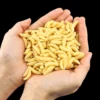50PCS Soft Maggot Fishing Baits